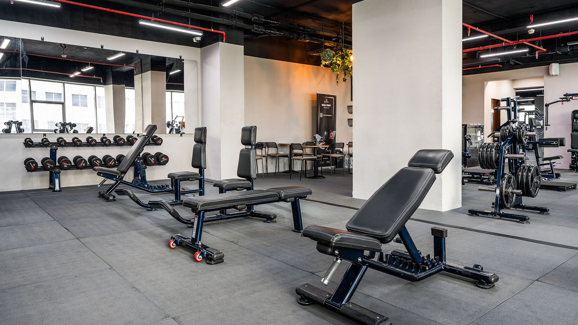 PPR Gym - Workout scene 1