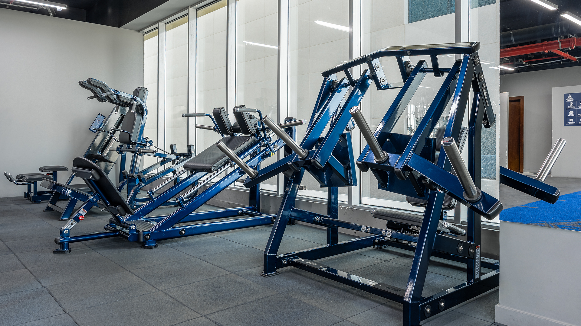 PPR Gym - Workout scene 2