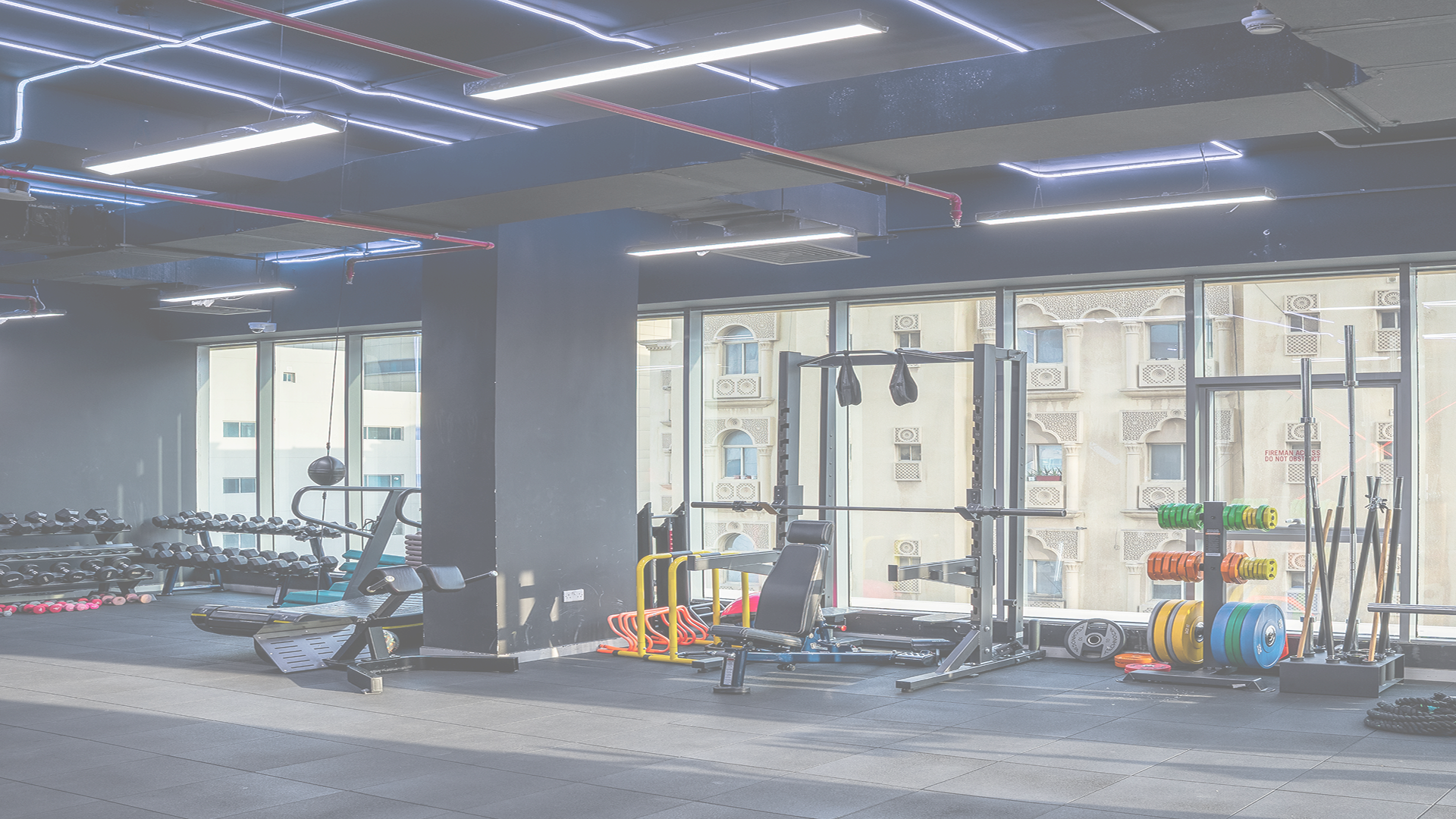 PPR Gym - Workout scene 3