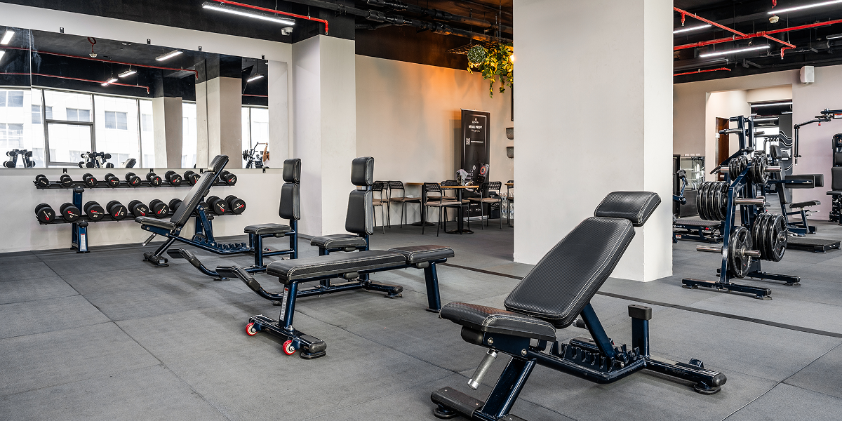 Gym equipment - Weight training area